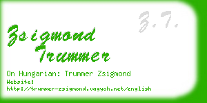 zsigmond trummer business card